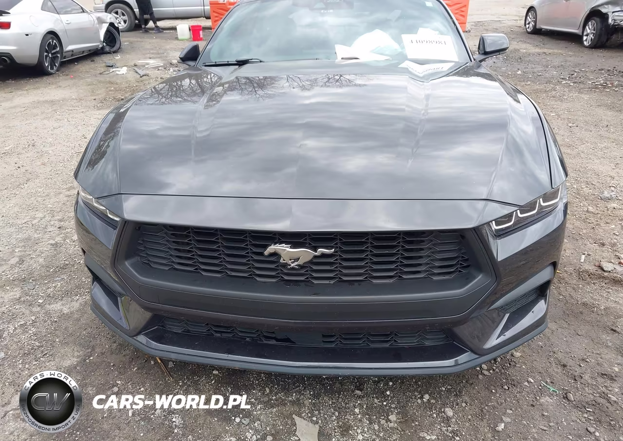 2024 Ford Mustang Ecoboost Fastback VIN:1FA6P8TH2R5146377 - 13