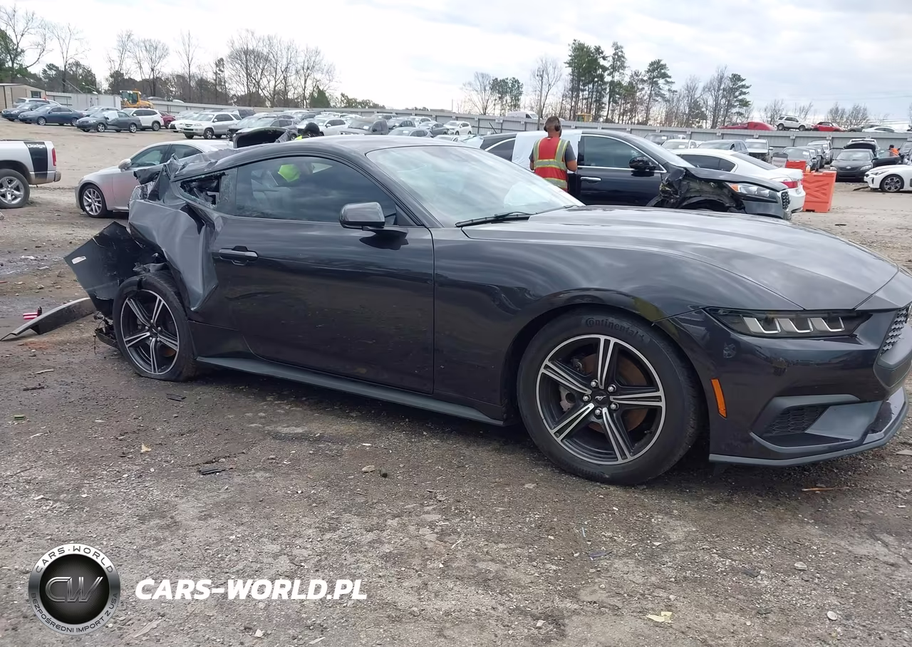 2024 Ford Mustang Ecoboost Fastback VIN:1FA6P8TH2R5146377 - 14
