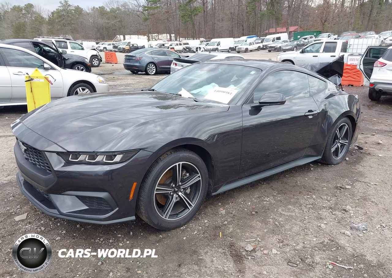 2024 Ford Mustang Ecoboost Fastback VIN:1FA6P8TH2R5146377 - 2