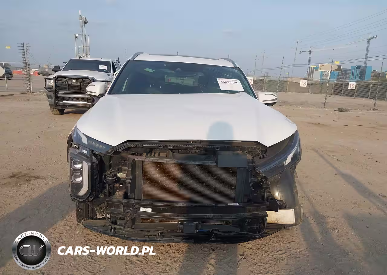 2020 Hyundai Palisade Limited VIN:KM8R54HE8LU095691 - 12