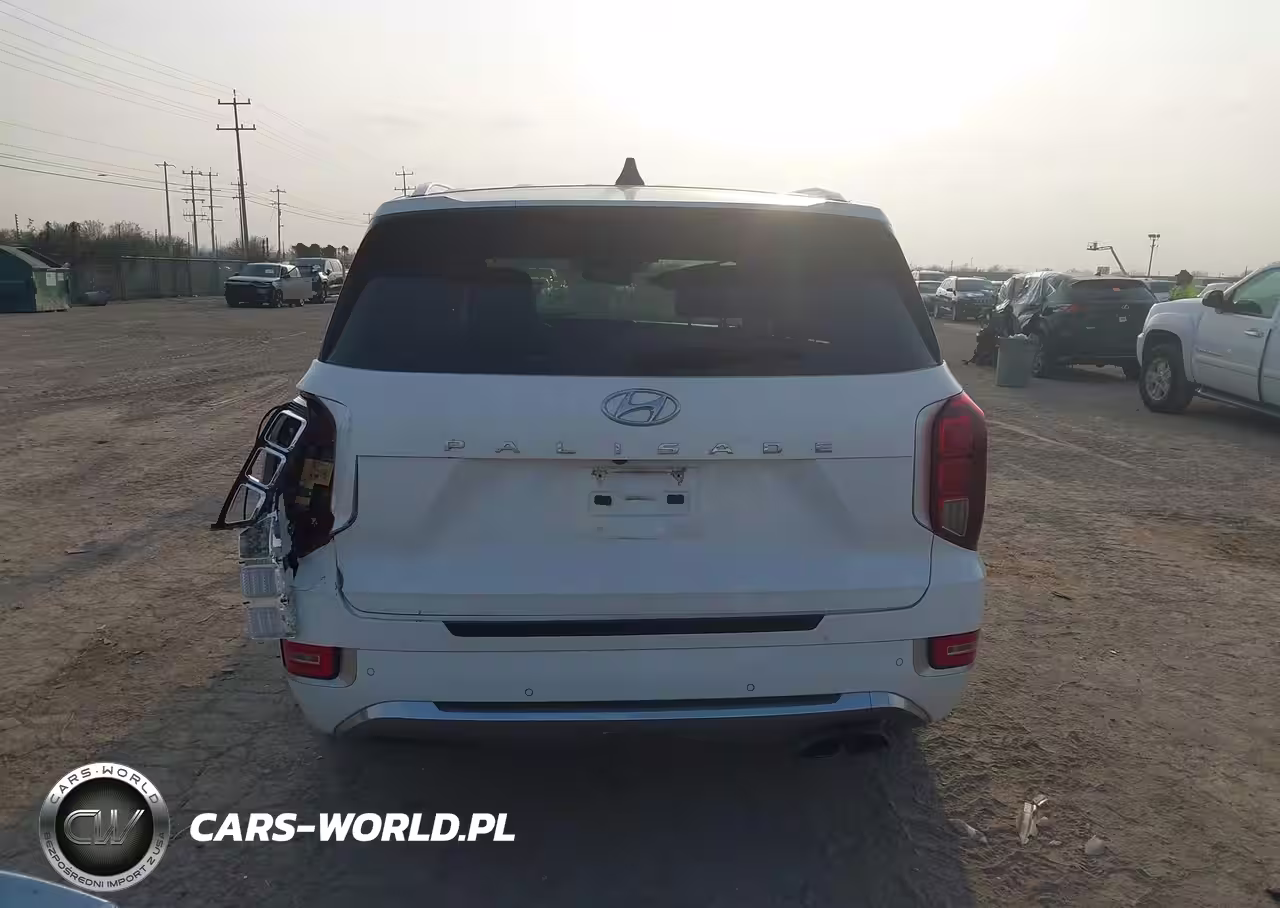 2020 Hyundai Palisade Limited VIN:KM8R54HE8LU095691 - 16
