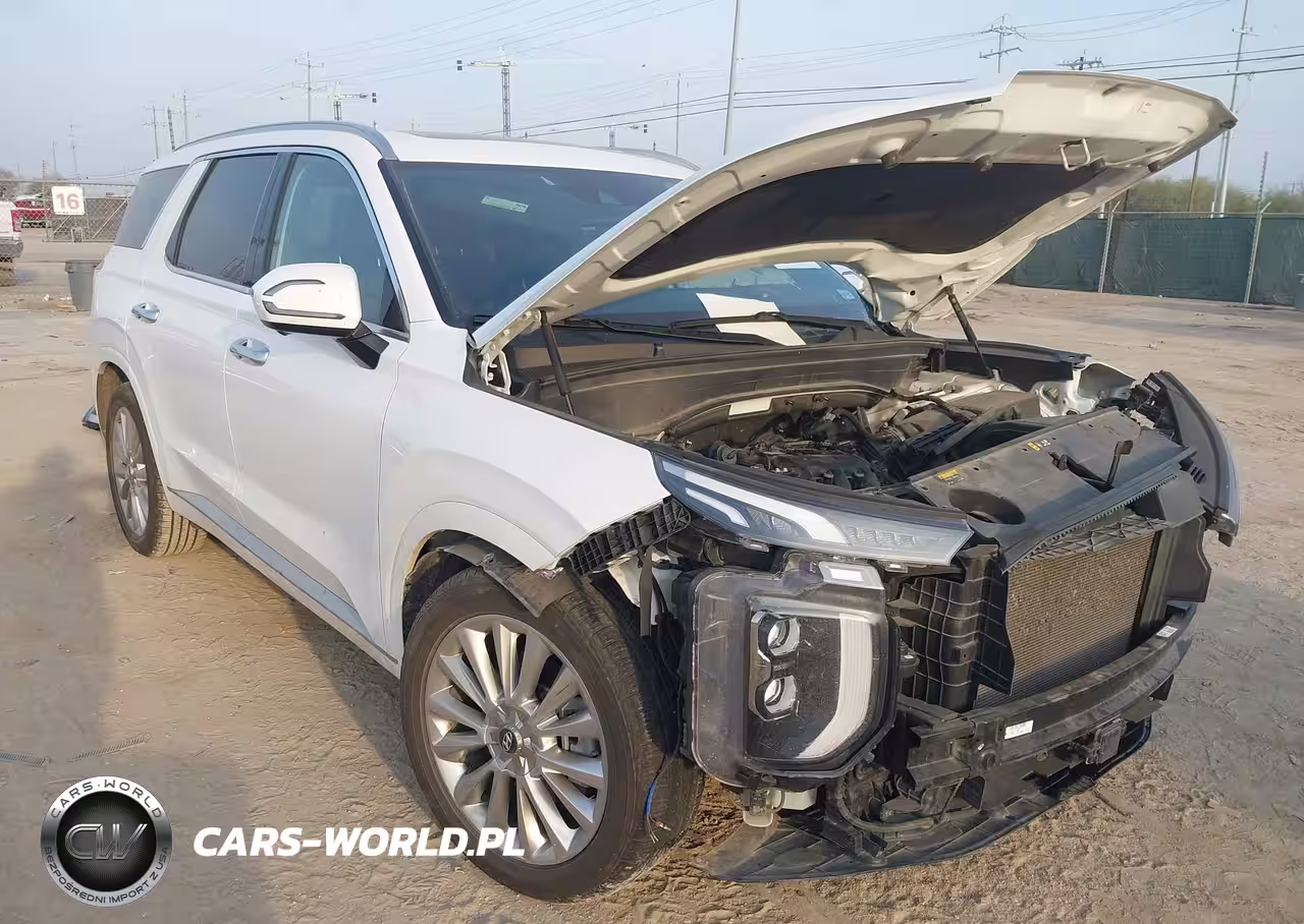 2020 Hyundai Palisade Limited VIN:KM8R54HE8LU095691 - 18