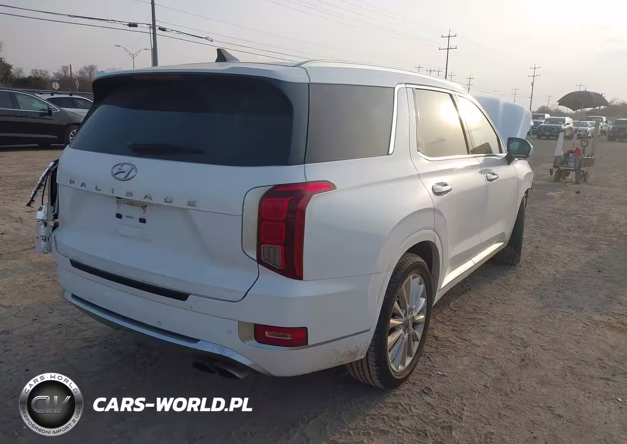 2020 Hyundai Palisade Limited VIN:KM8R54HE8LU095691 - 19
