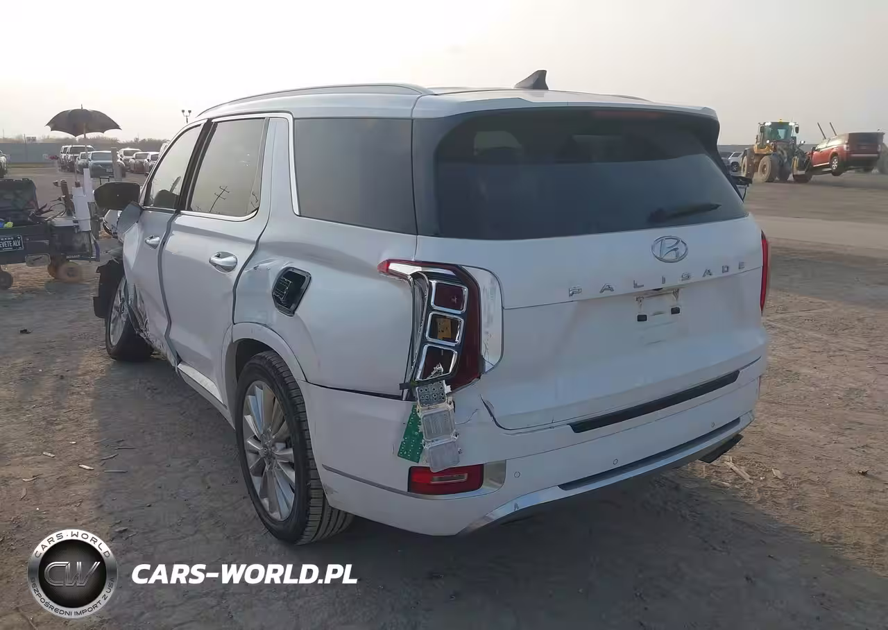 2020 Hyundai Palisade Limited VIN:KM8R54HE8LU095691 - 3