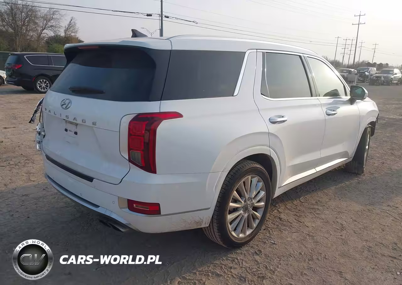 2020 Hyundai Palisade Limited VIN:KM8R54HE8LU095691 - 4