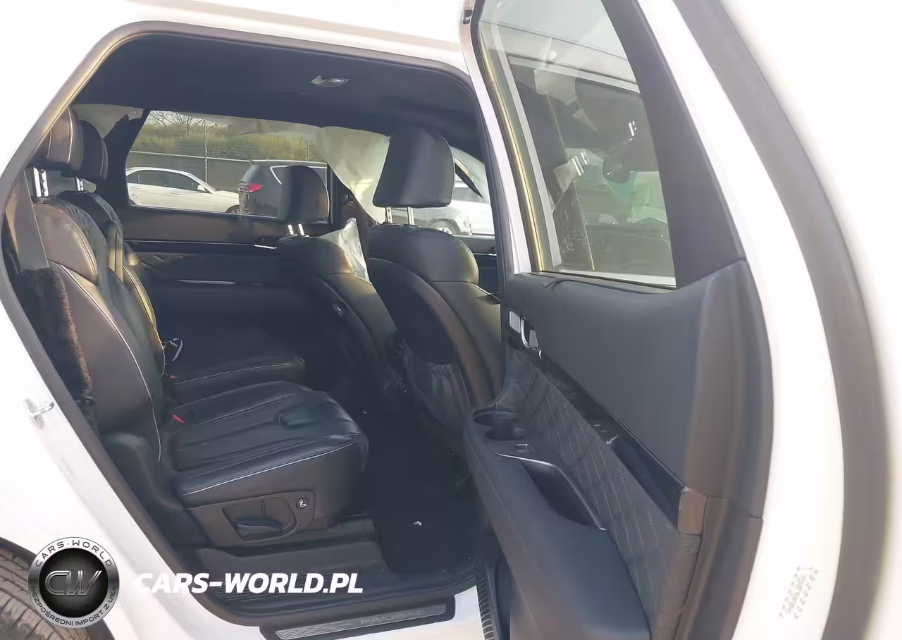 2020 Hyundai Palisade Limited VIN:KM8R54HE8LU095691 - 8