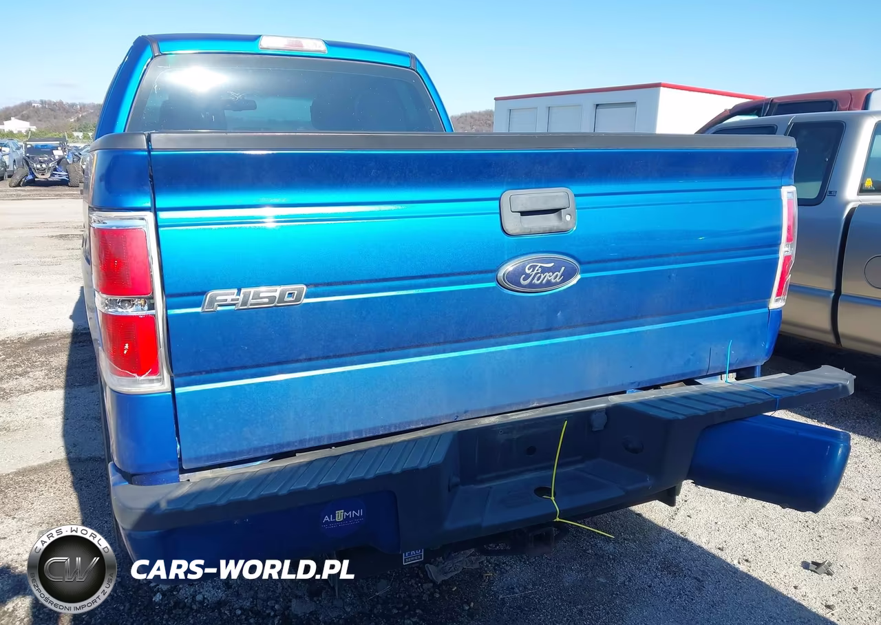 2010 Ford F-150 Stx-Xl VIN:1FTEX1CW6AFA07735 - 17