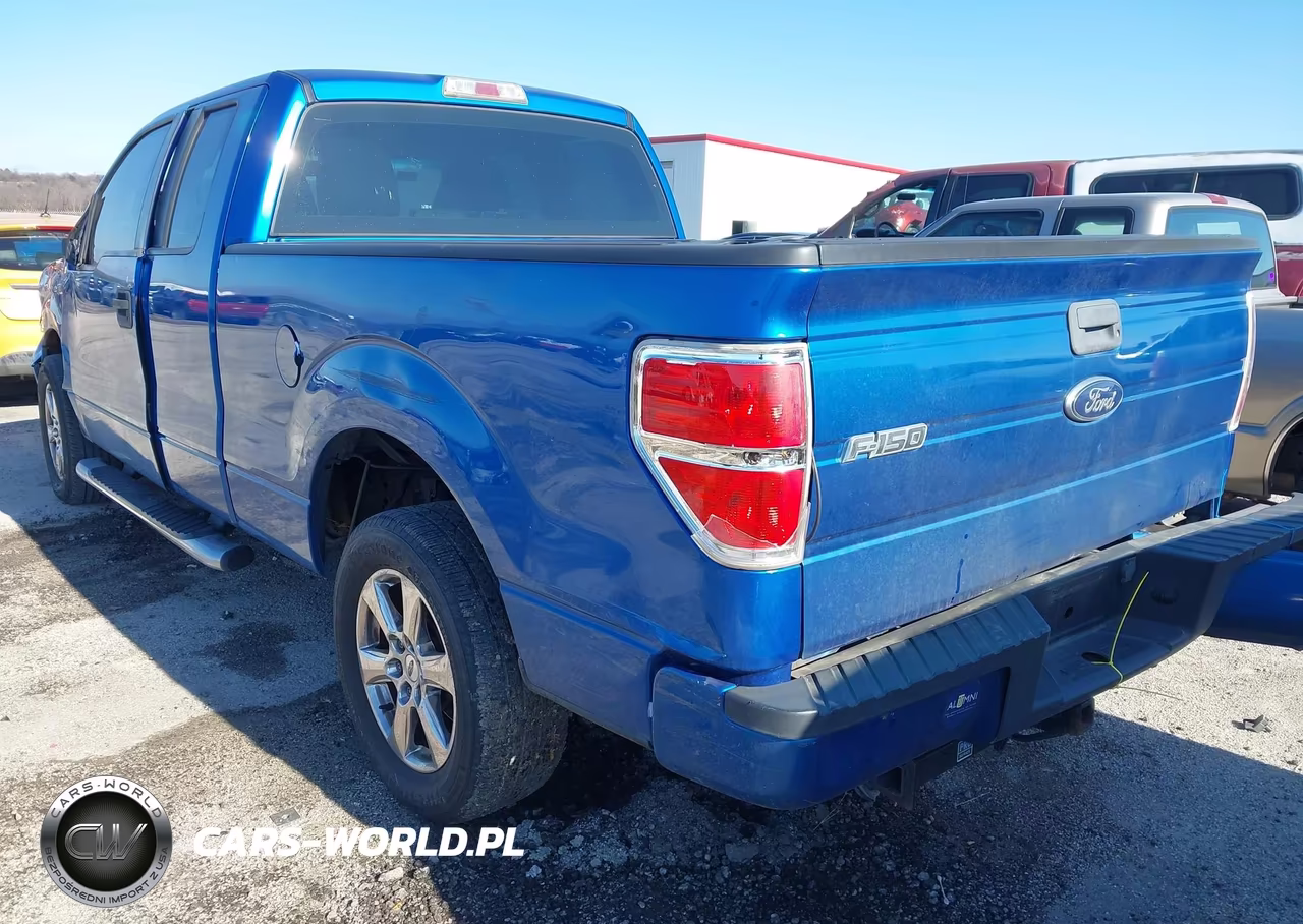 2010 Ford F-150 Stx-Xl VIN:1FTEX1CW6AFA07735 - 3