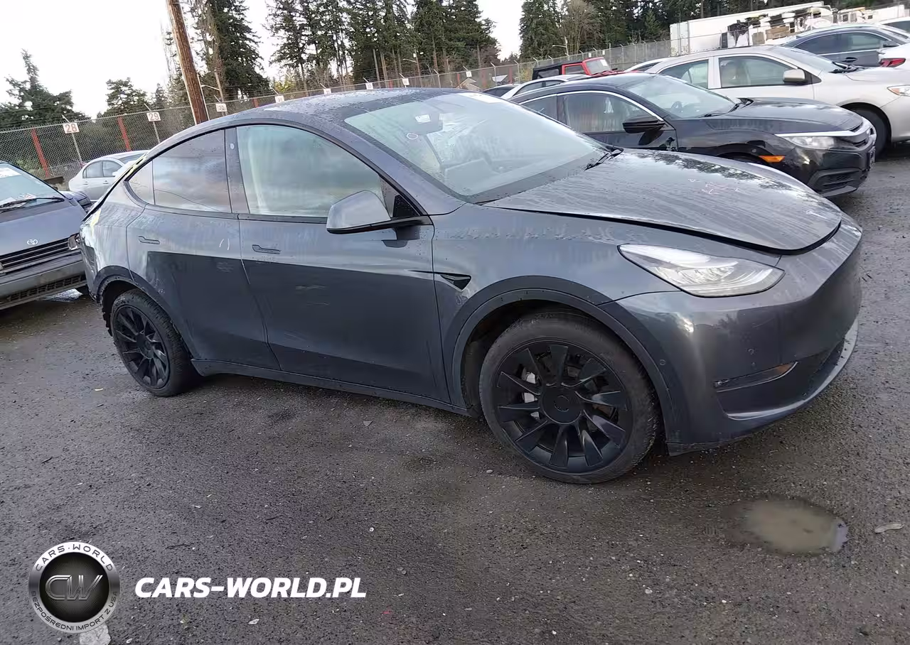 2020 Tesla Model Y Long Range Dual Motor All-Wheel Drive