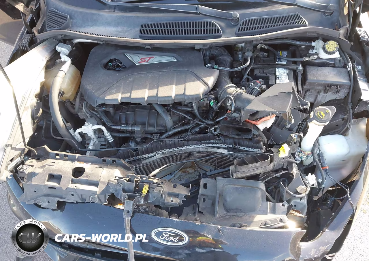 2019 Ford Fiesta St VIN:3FADP4GX8KM103132 - 10