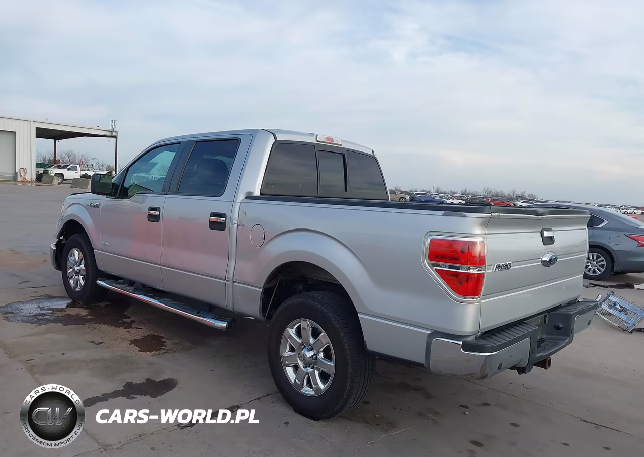 2013 Ford F-150 Xlt VIN:1FTFW1ET9DKF24386 - 3