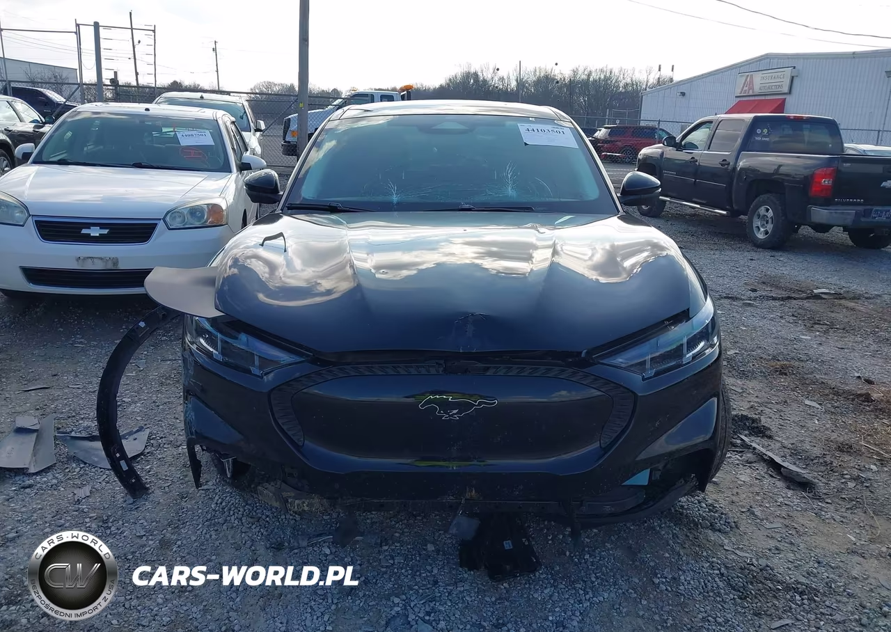 2024 Ford Mustang Mach-E Select VIN:3FMTK1SU1RMA41949 - 13