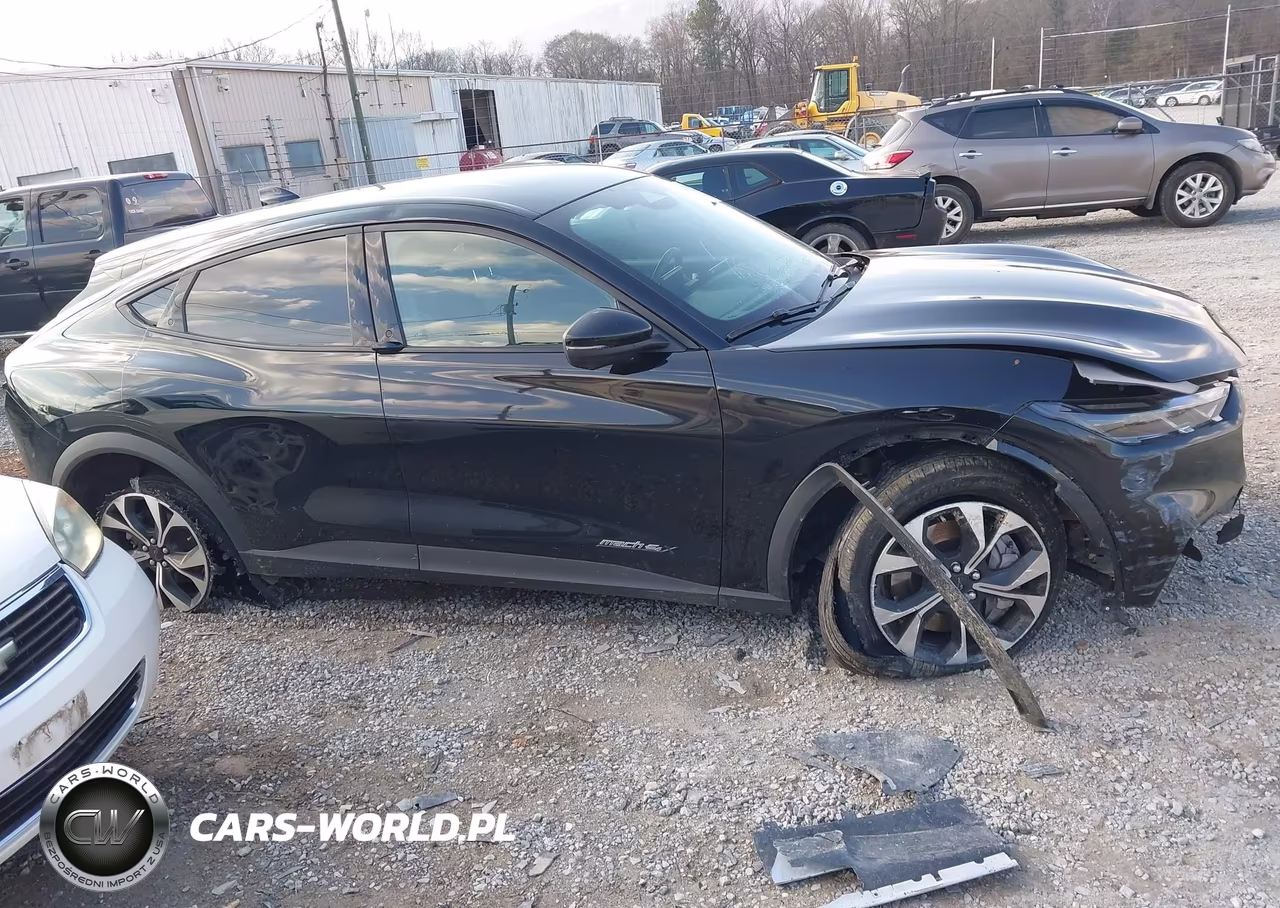 2024 Ford Mustang Mach-E Select VIN:3FMTK1SU1RMA41949 - 14