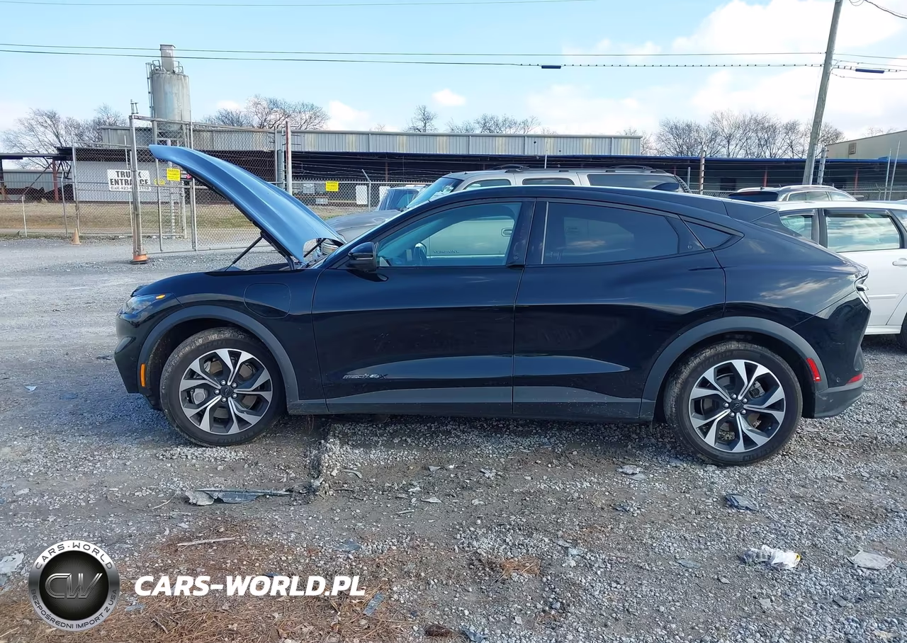 2024 Ford Mustang Mach-E Select VIN:3FMTK1SU1RMA41949 - 15