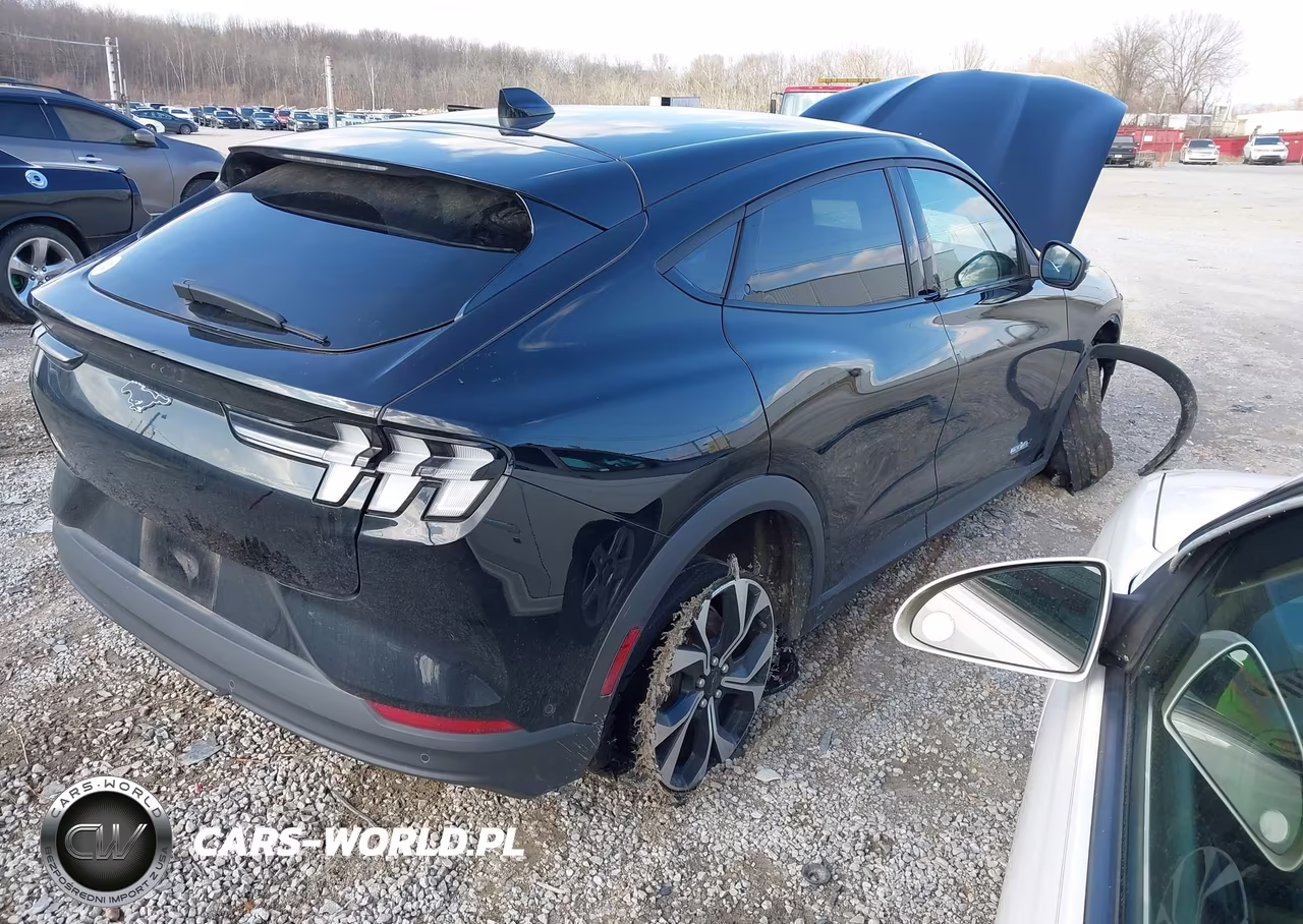 2024 Ford Mustang Mach-E Select VIN:3FMTK1SU1RMA41949 - 4