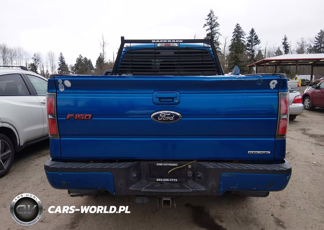 2012 Ford F-150 Fx4 VIN:1FTFX1EF1CFB29598 - 17