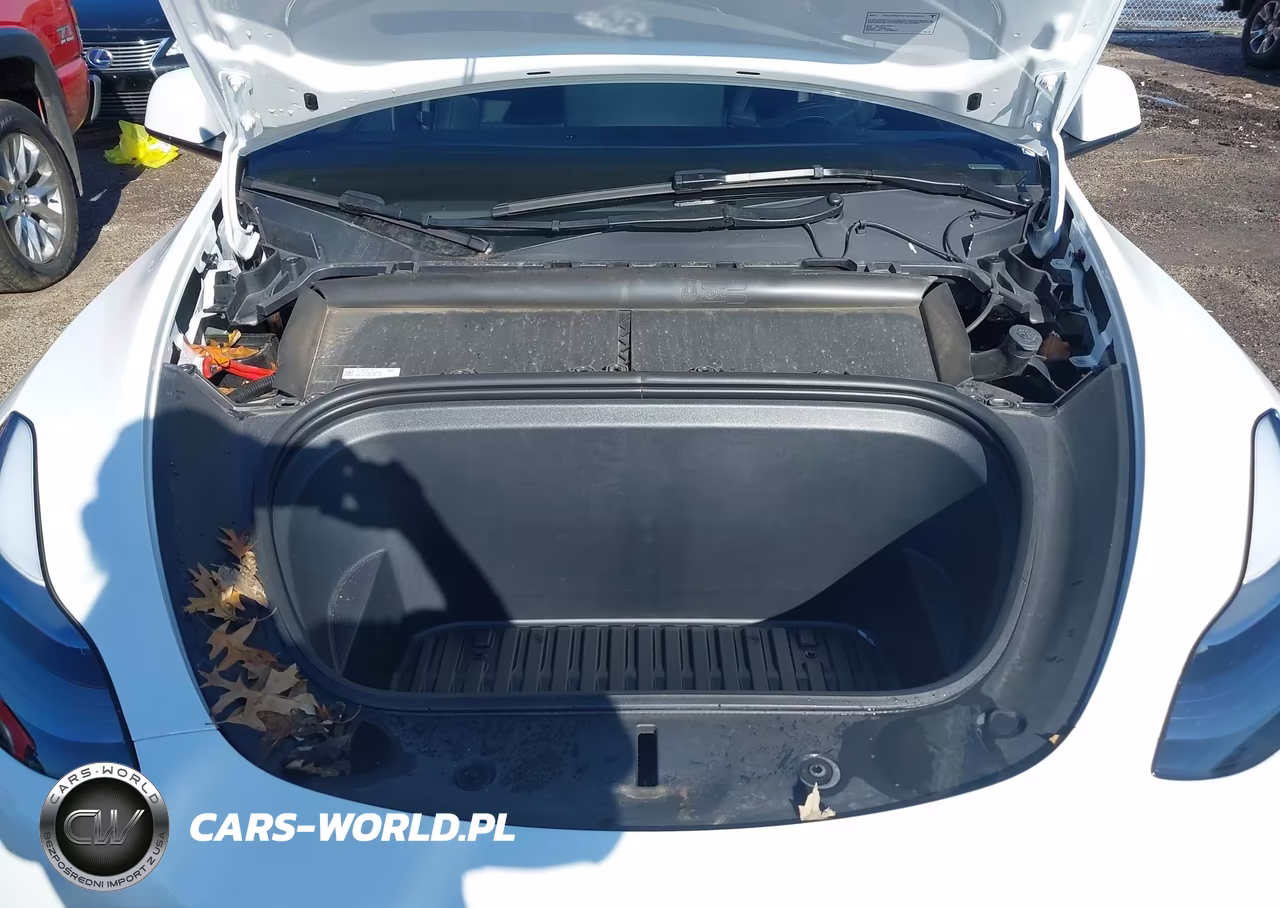 2025 Tesla Model Y Long Range Dual Motor All-Wheel Drive VIN:7SAYGAEE8SF291542 - 10