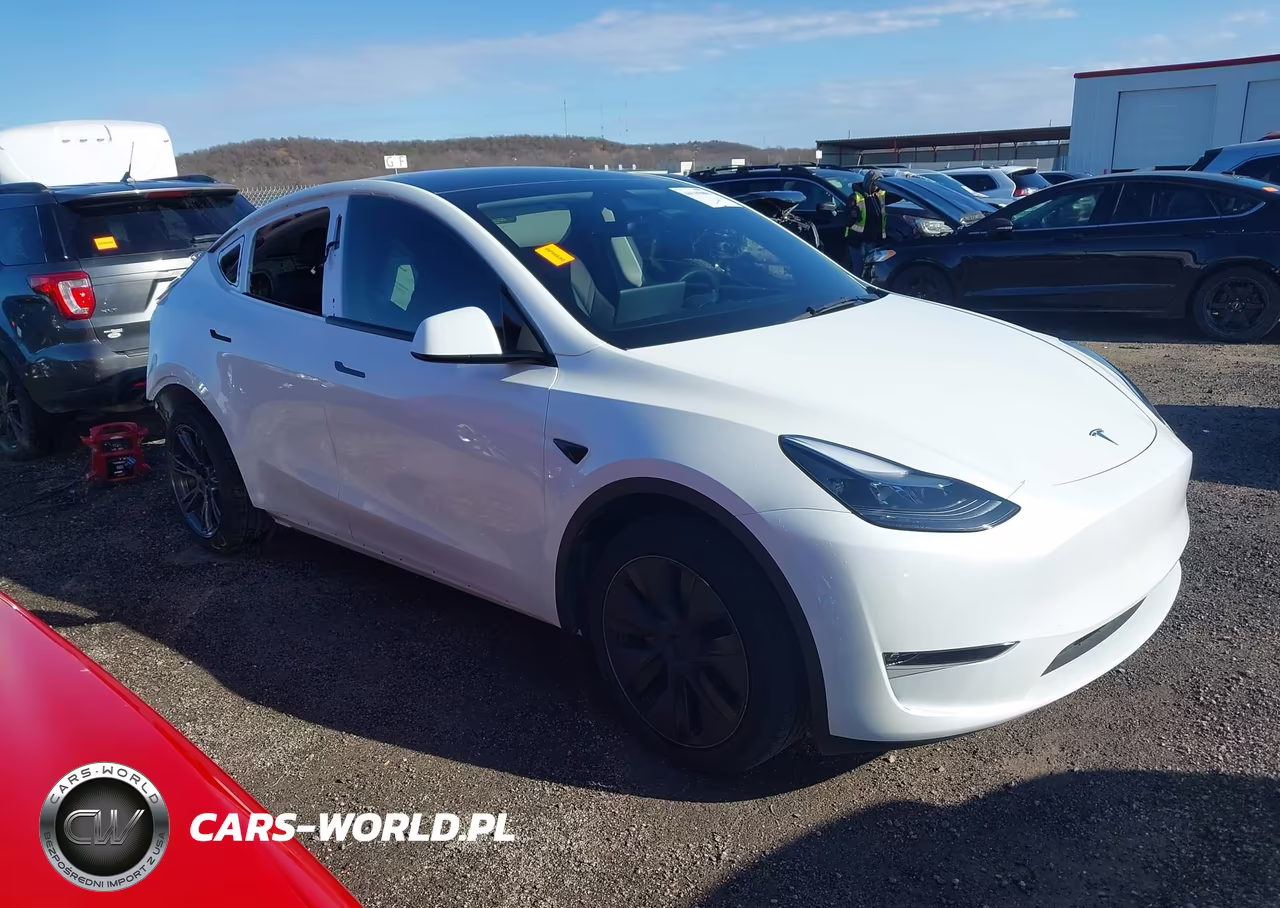 2025 Tesla Model Y Long Range Dual Motor All-Wheel Drive VIN:7SAYGAEE8SF291542 - 14