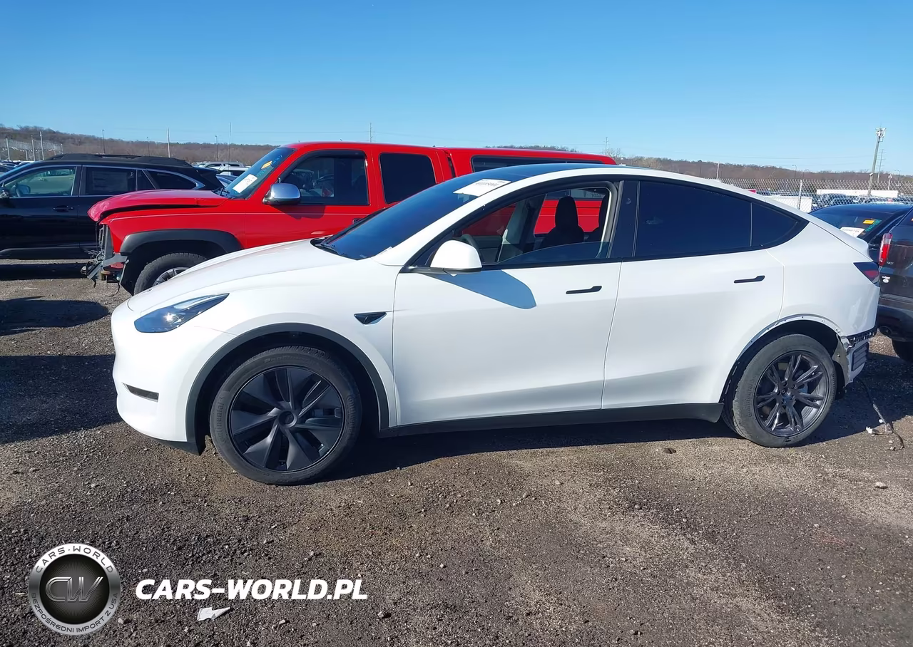 2025 Tesla Model Y Long Range Dual Motor All-Wheel Drive VIN:7SAYGAEE8SF291542 - 15