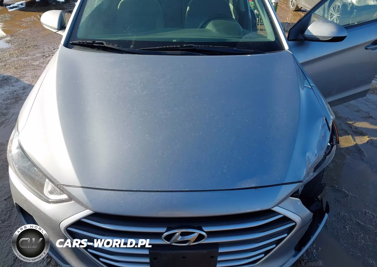 2017 Hyundai Elantra Se VIN:5NPD84LF2HH027409 - 10