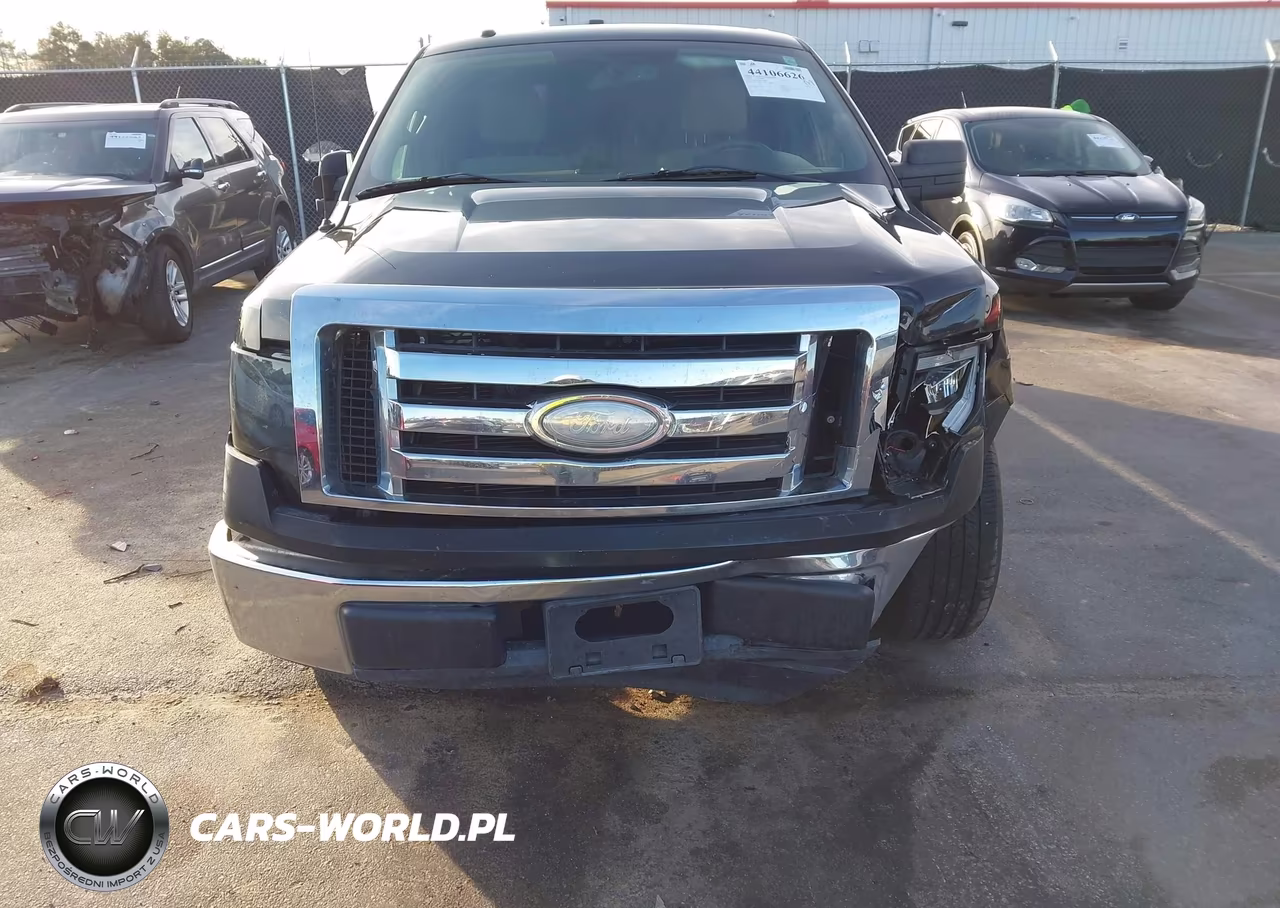 2009 Ford F-150 Xl-Xlt VIN:1FTRW12849FA76085 - 12