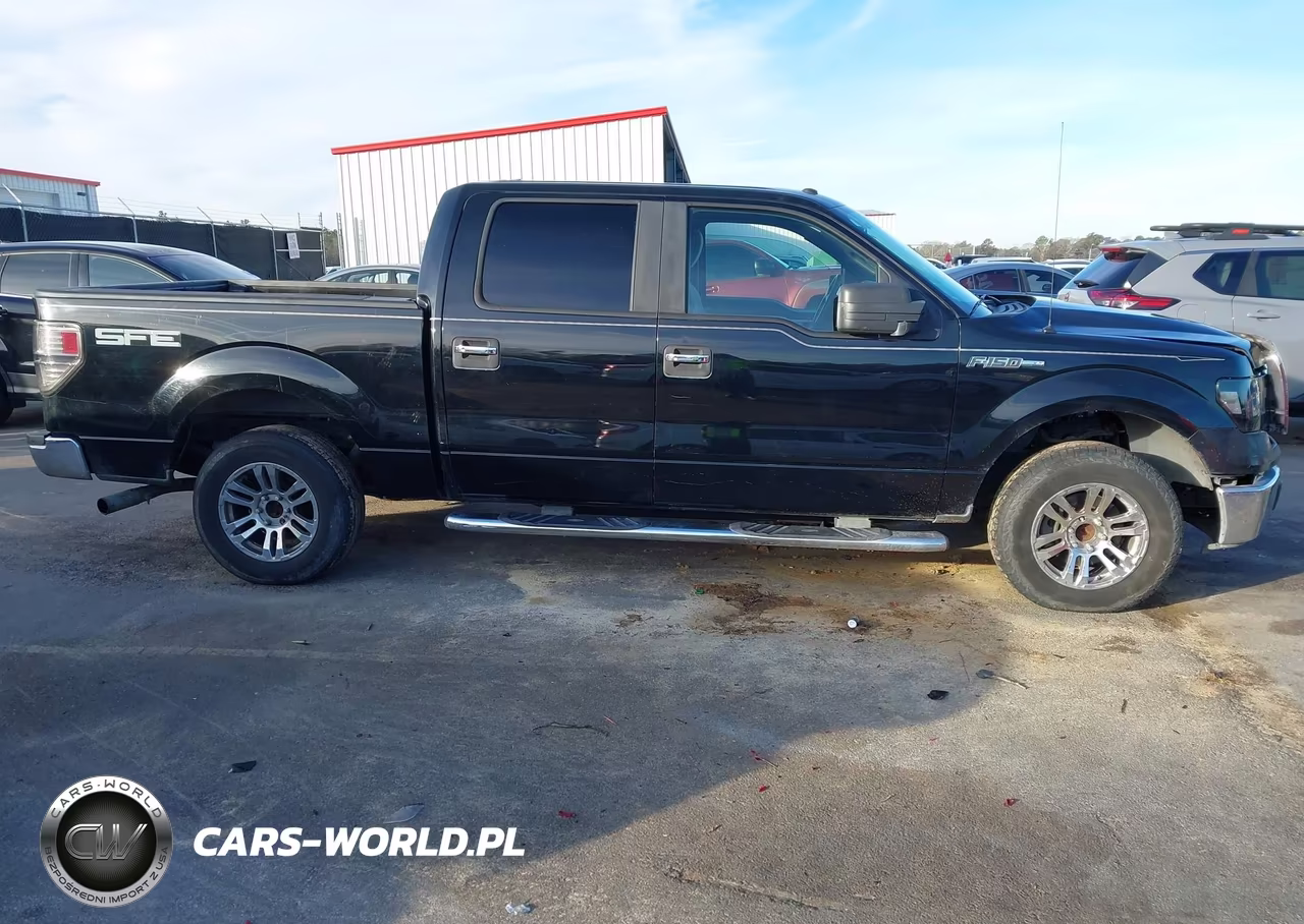 2009 Ford F-150 Xl-Xlt VIN:1FTRW12849FA76085 - 13