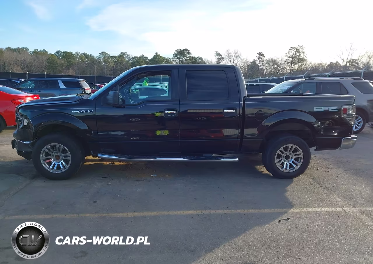 2009 Ford F-150 Xl-Xlt VIN:1FTRW12849FA76085 - 14