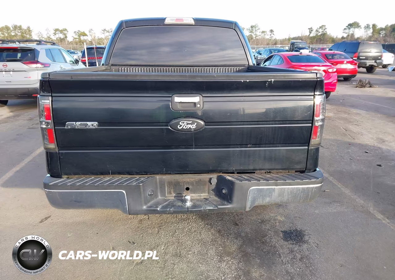 2009 Ford F-150 Xl-Xlt VIN:1FTRW12849FA76085 - 16