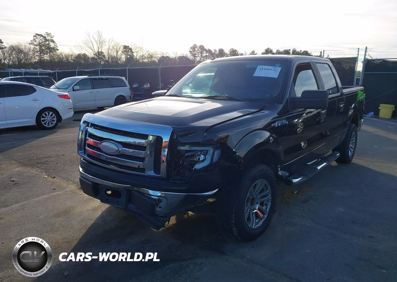 2009 Ford F-150 Xl-Xlt VIN:1FTRW12849FA76085 - 2