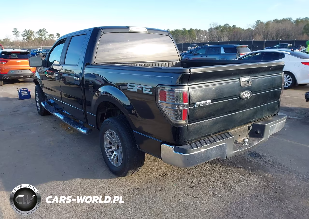 2009 Ford F-150 Xl-Xlt VIN:1FTRW12849FA76085 - 3