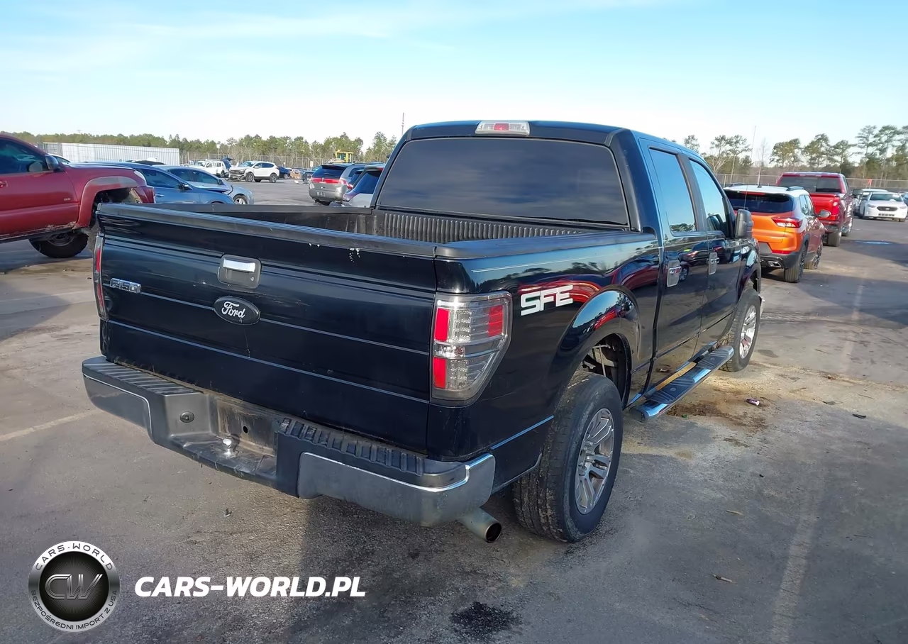 2009 Ford F-150 Xl-Xlt VIN:1FTRW12849FA76085 - 4