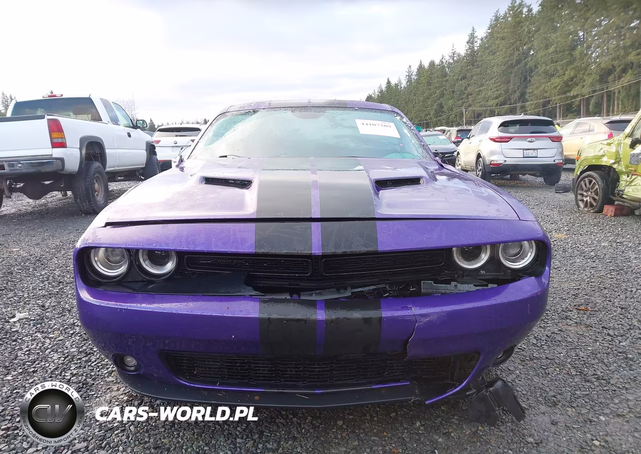 2023 Dodge Challenger Sxt Awd VIN:2C3CDZGG1PH566879 - 12