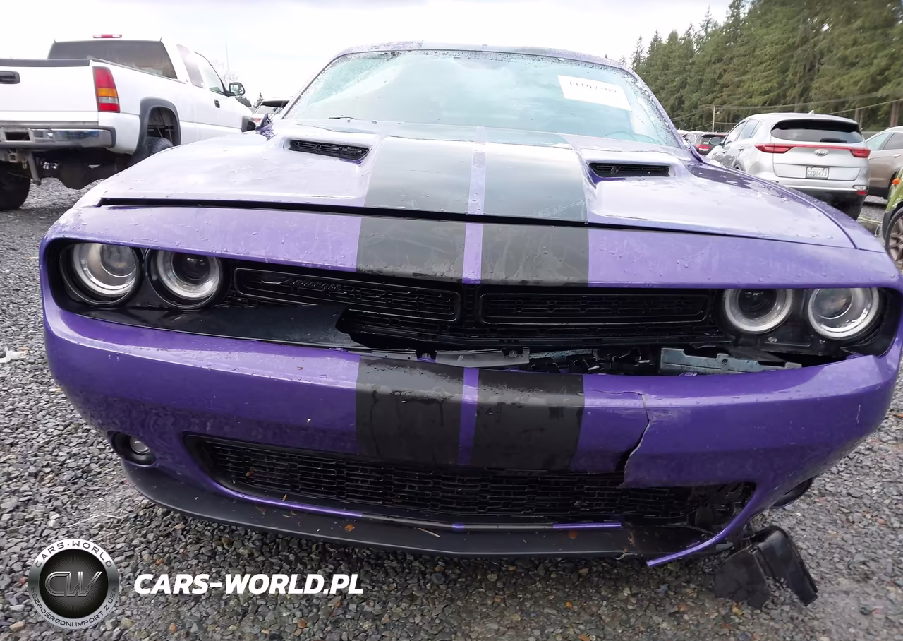2023 Dodge Challenger Sxt Awd VIN:2C3CDZGG1PH566879 - 18