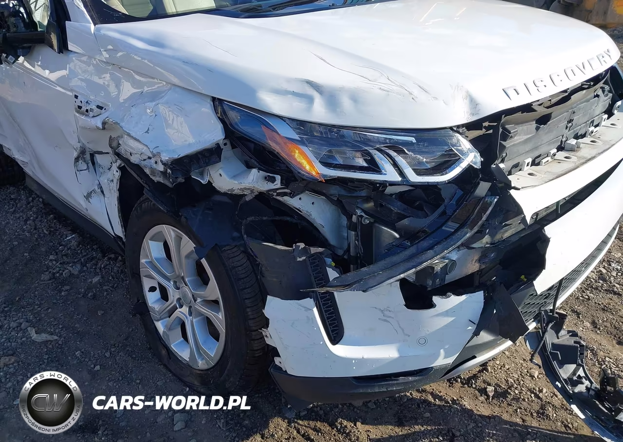 2021 Land Rover Discovery Sport S VIN:SALCJ2FX3MH903236 - 6