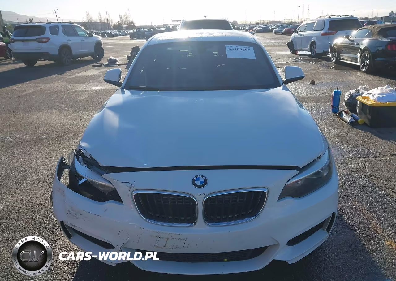 2014 BMW 228I VIN:WBA1F5C50EVW97880 - 12