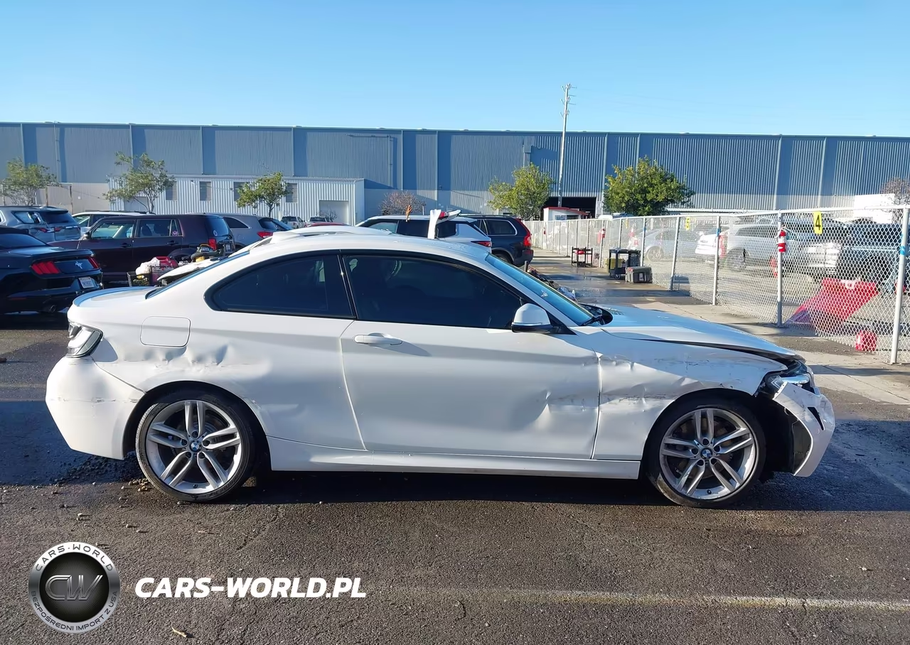 2014 BMW 228I VIN:WBA1F5C50EVW97880 - 13