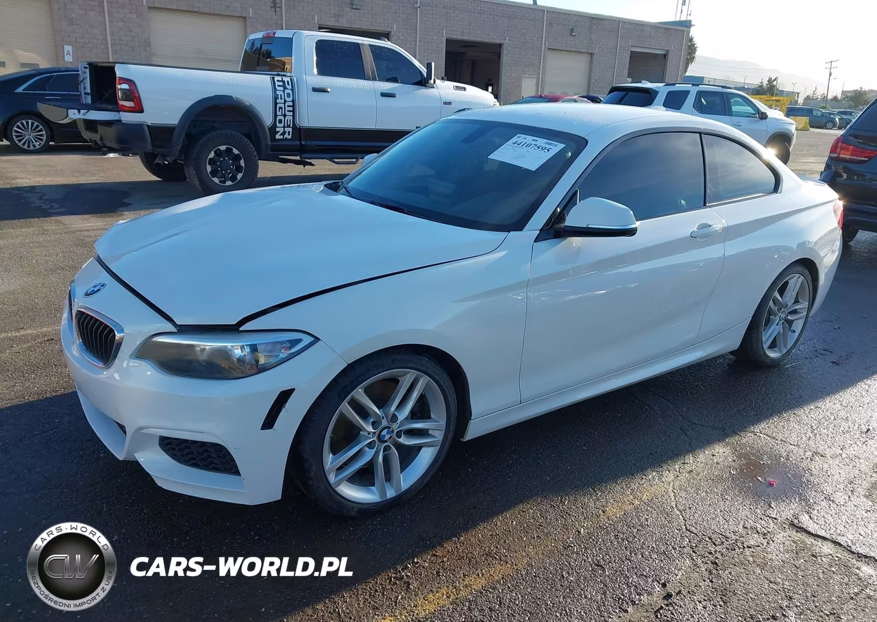 2014 BMW 228I VIN:WBA1F5C50EVW97880 - 2