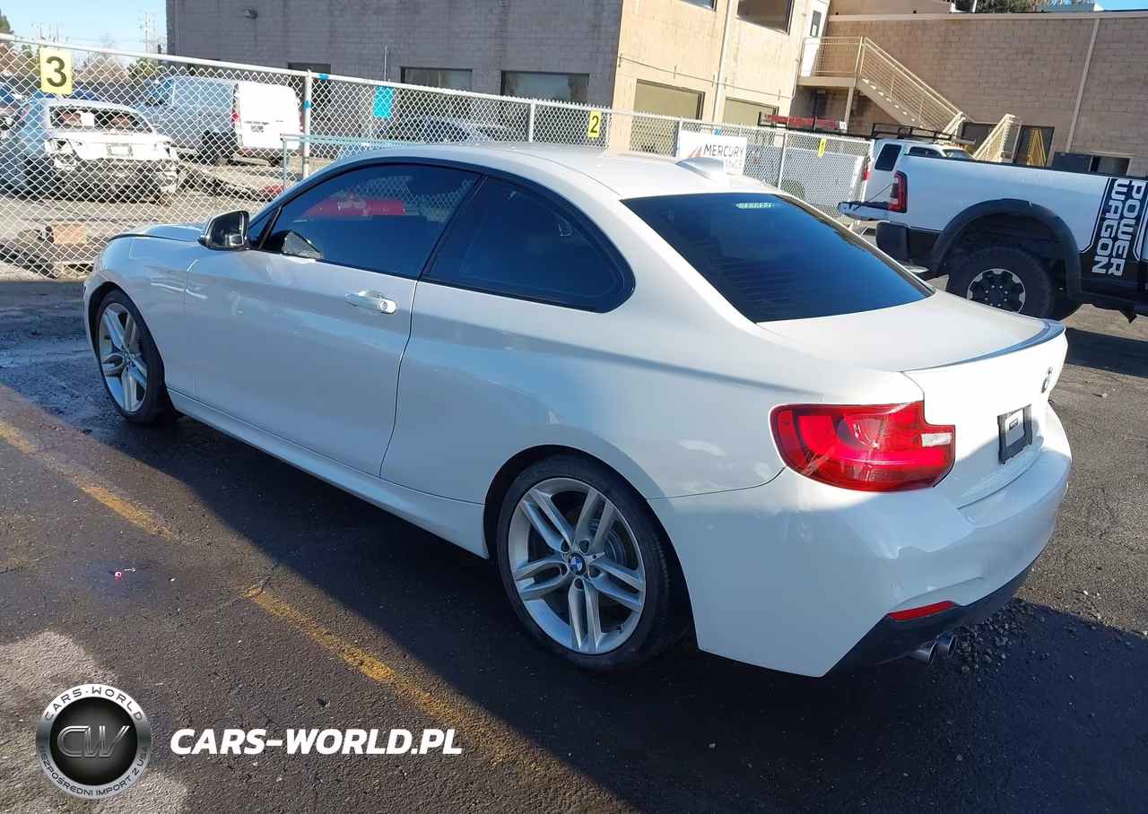 2014 BMW 228I VIN:WBA1F5C50EVW97880 - 3