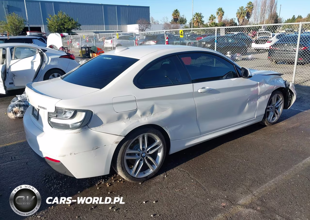 2014 BMW 228I VIN:WBA1F5C50EVW97880 - 4