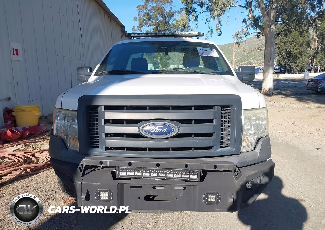 2010 Ford F-150 Stx-Xl-Xlt VIN:1FTMF1CW0AKB33613 - 12