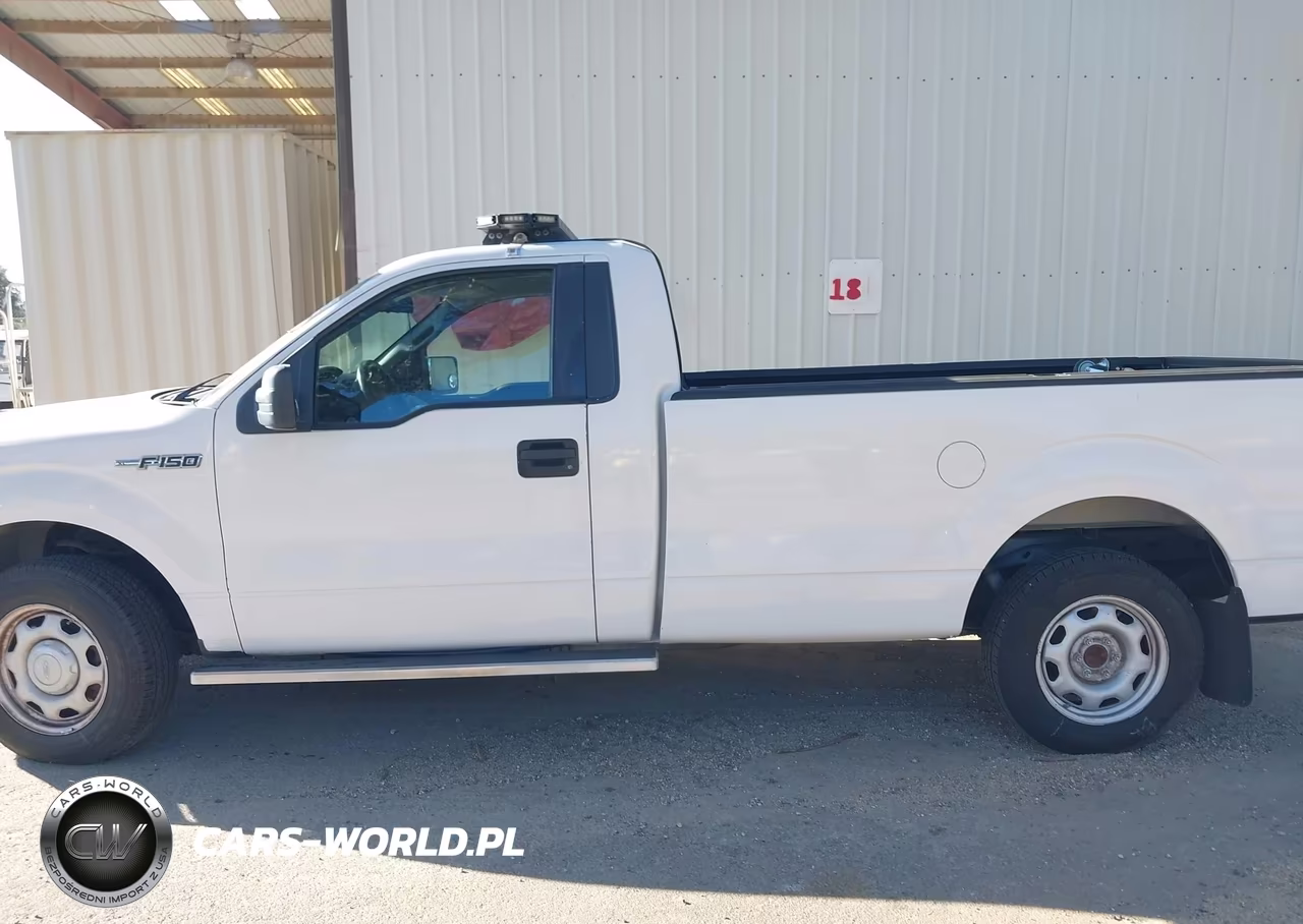 2010 Ford F-150 Stx-Xl-Xlt VIN:1FTMF1CW0AKB33613 - 14