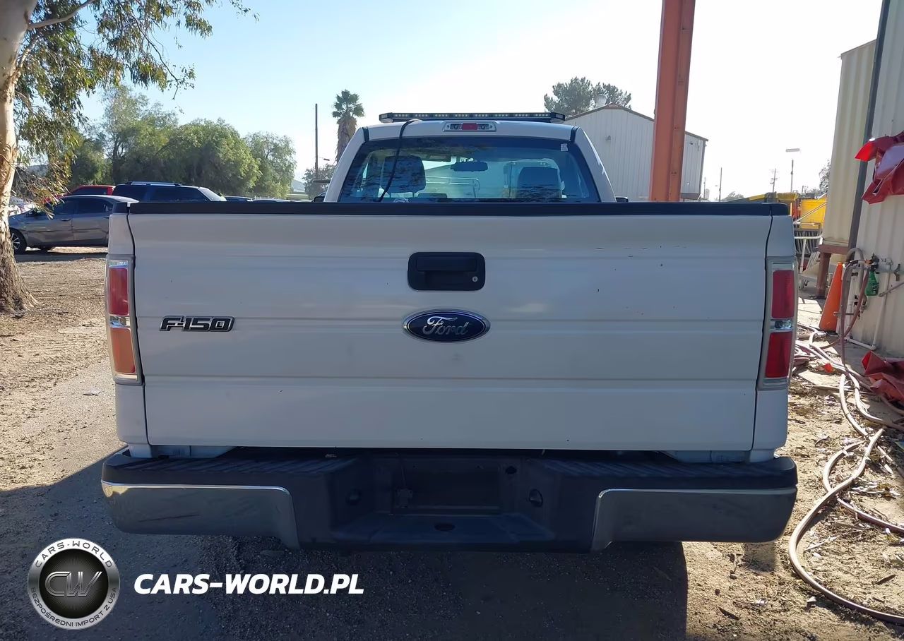 2010 Ford F-150 Stx-Xl-Xlt VIN:1FTMF1CW0AKB33613 - 16