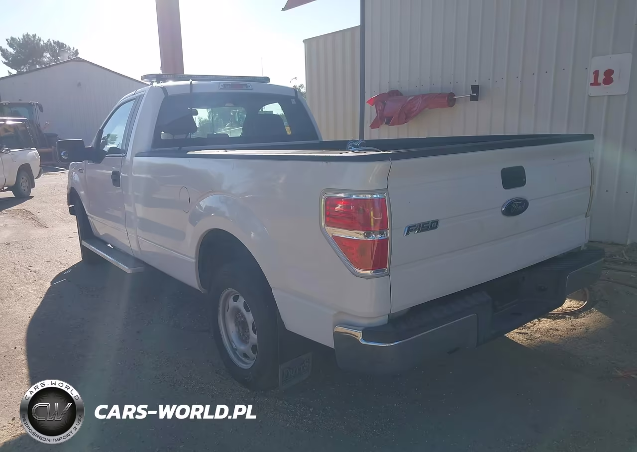 2010 Ford F-150 Stx-Xl-Xlt VIN:1FTMF1CW0AKB33613 - 3