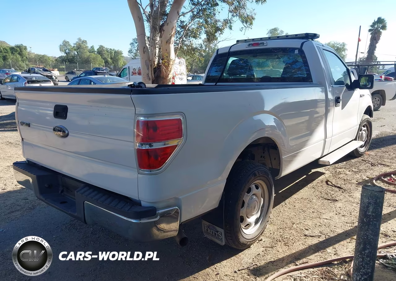 2010 Ford F-150 Stx-Xl-Xlt VIN:1FTMF1CW0AKB33613 - 4