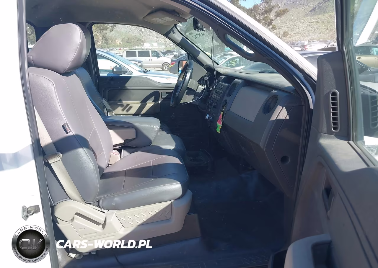 2010 Ford F-150 Stx-Xl-Xlt VIN:1FTMF1CW0AKB33613 - 5