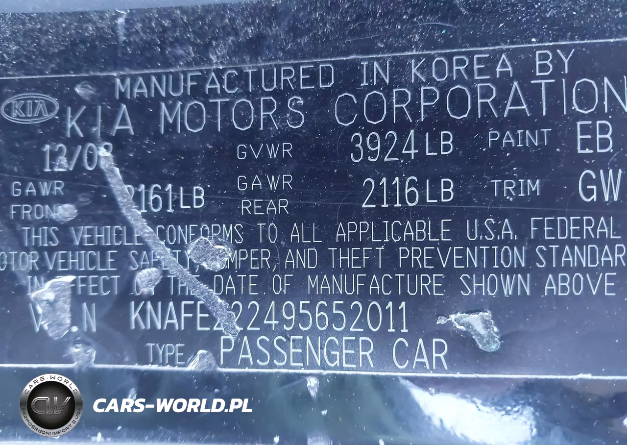 2009 Kia Spectra Ex VIN:KNAFE222495652011 - 9