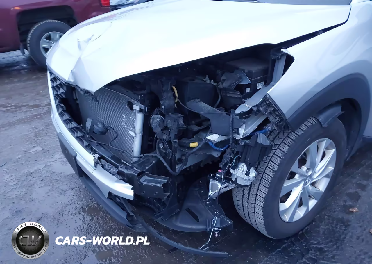 2020 Hyundai Tucson Value VIN:KM8J3CA4XLU278931 - 6