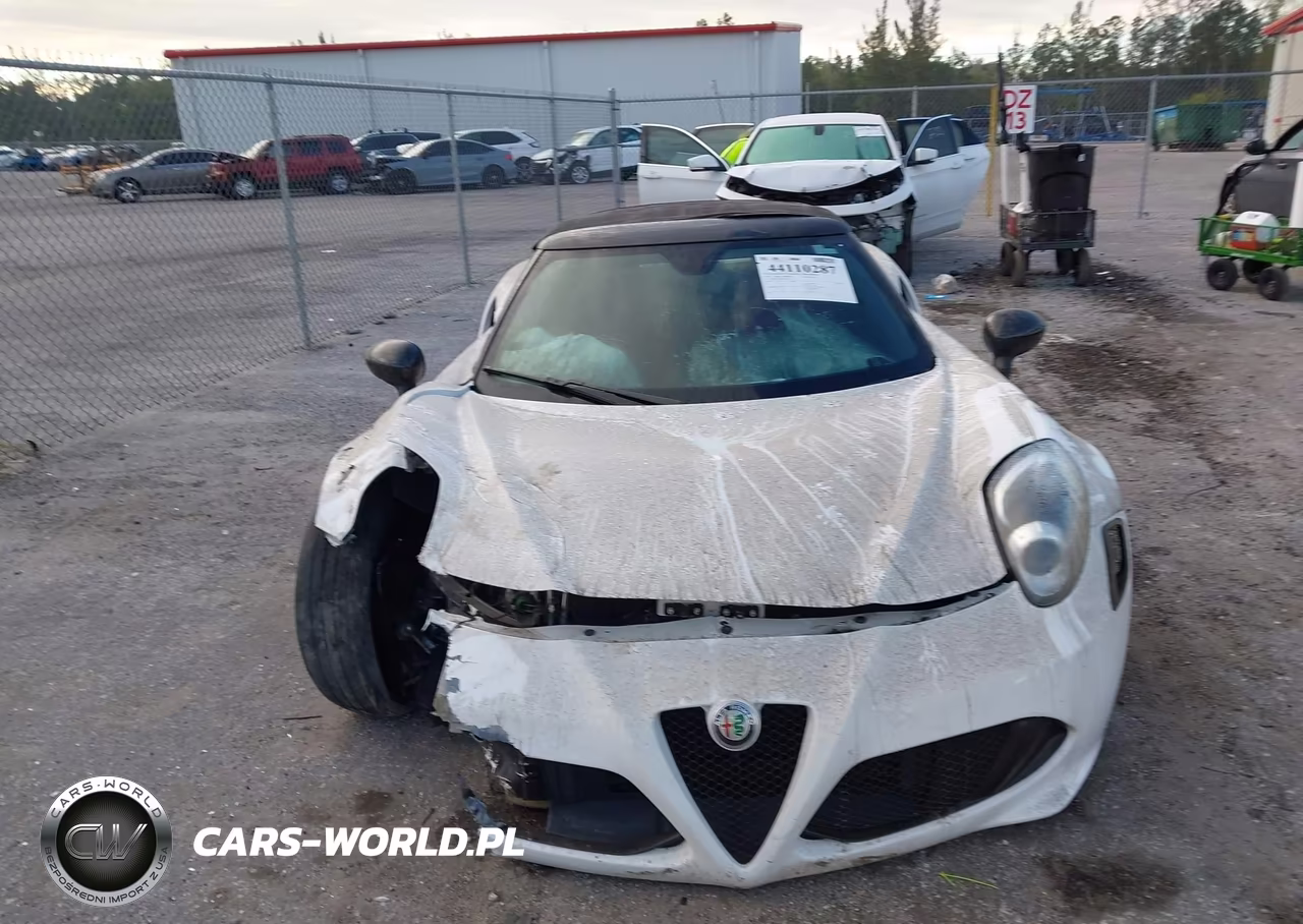2018 Alfa Romeo 4C Spider VIN:ZARBAAB42JM282492 - 12