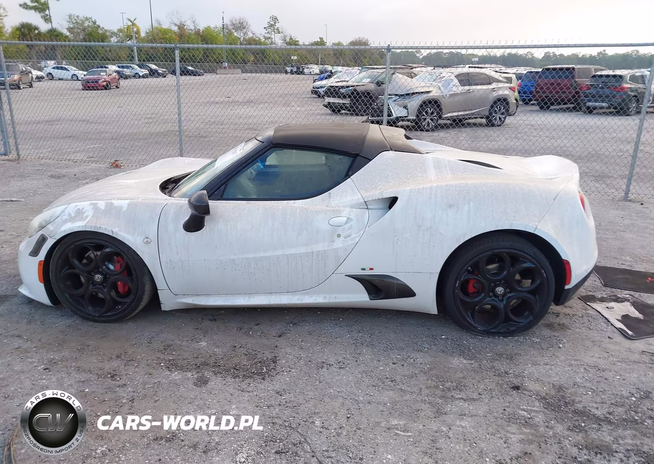 2018 Alfa Romeo 4C Spider VIN:ZARBAAB42JM282492 - 14