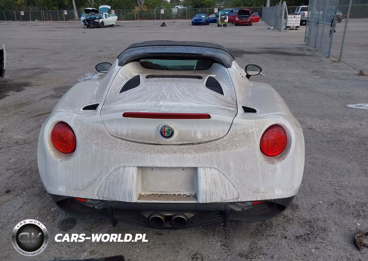 2018 Alfa Romeo 4C Spider VIN:ZARBAAB42JM282492 - 16